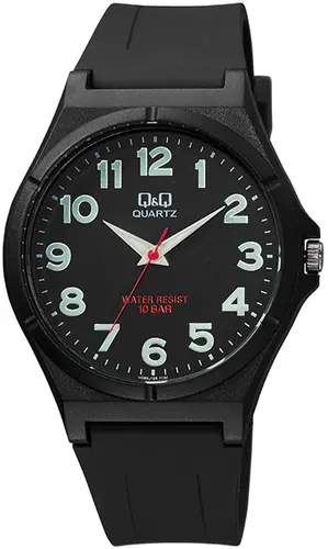 Ανδρικό ρολόι Q&Q - VQ66J024Y - 1