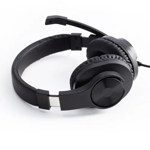 Слушалки с микрофон HAMA HS-P350 - image 1