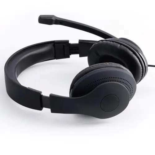 Слушалки с микрофон HAMA HS-USB300 - image 1