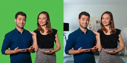 Зелен екран CELEXON Mobile Chroma Key, 150 x 180cm  - image 10