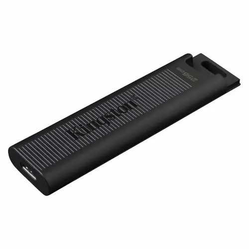 USB памет KINGSTON DataTraveler Max, 256GB - image 1