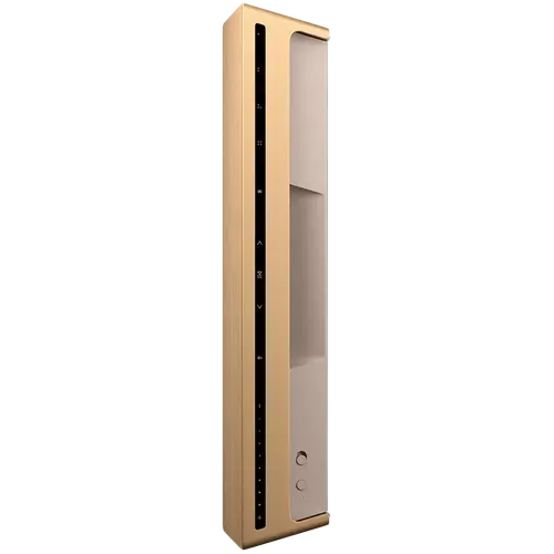 Beosound Level Speaker Gold Tone Alu (Cover Light Oak) - image 2
