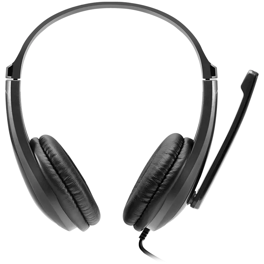 CANYON PC headset CHSU-1 PC Mic USB 2m Black - image 1
