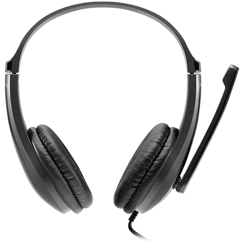 CANYON PC headset CHSU-1 PC Mic USB 2m Black - image 1