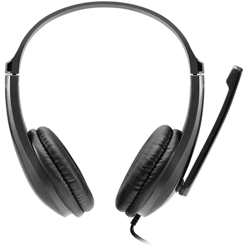 CANYON PC headset HSC-1 PC Mic Flat 2m Black - image 1