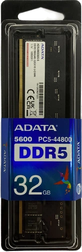 Памет, ADATA 32GB DDR5 5600 MHz U-DIMM