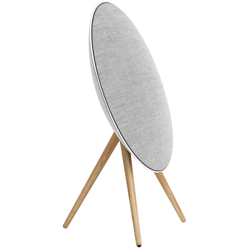 Beosound A9 5.G Natural Aluminium B - FLEX - image 1