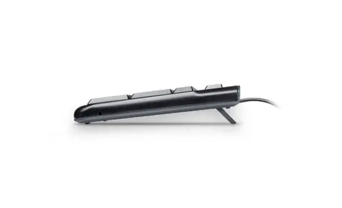 Πληκτρολόγιο, Logitech K120 OEM - 4