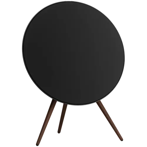 Bang & Olufsen Beosound A9 5.G Black Anthracite B - FLEX