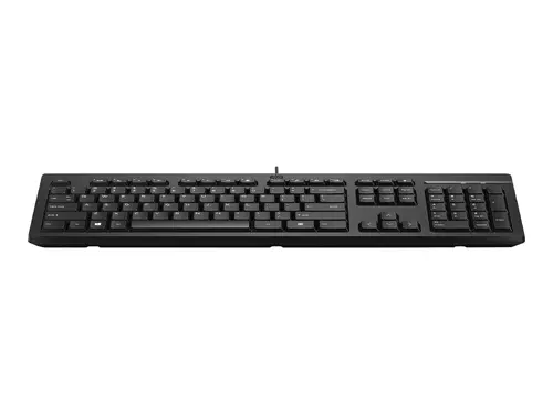 HP 125 Wired Keyboard (BG) - image 1