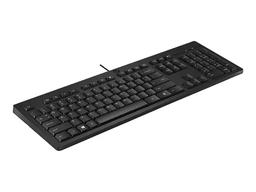 HP 125 Wired Keyboard (BG) - image 2