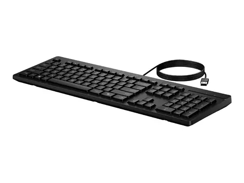 HP 125 Wired Keyboard (BG) - image 5