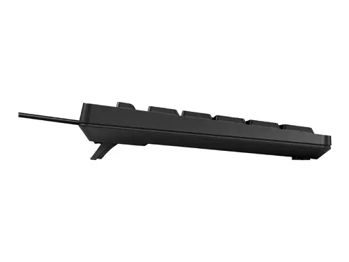HP 125 Wired Keyboard (BG)