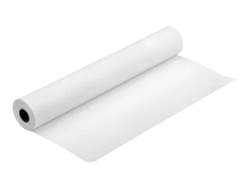 Χαρτί, Epson Proofing Paper Λευκό Ημιματ, 24" x 30.5 m, 250g/m2 - 1