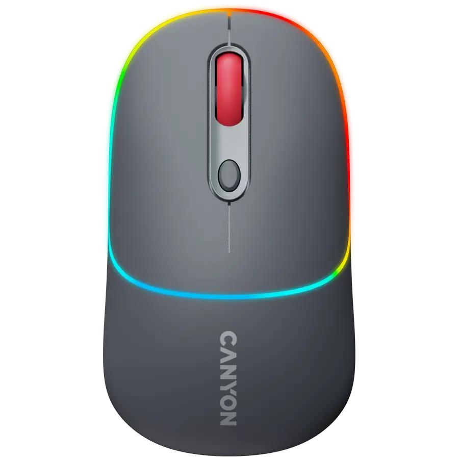 CANYON mouse MW-22 2in1 BT/ fără fir Gri închis