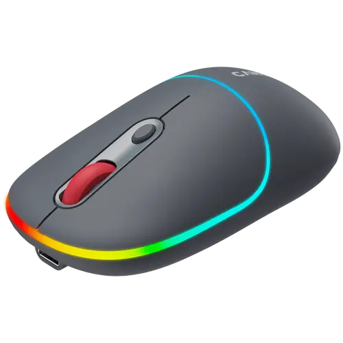 CANYON mouse MW-22 2in1 BT/ Wireless Dark Grey - image 2