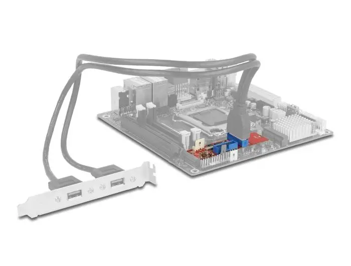 Адаптер Delock, M.2 Key B+M мъжко към 2 x USB 5 Gbps Pin Header - image 3