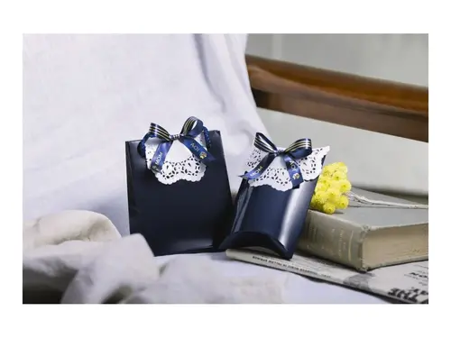 BROTHER textile tape gold/navy 12mm/4m - image 6