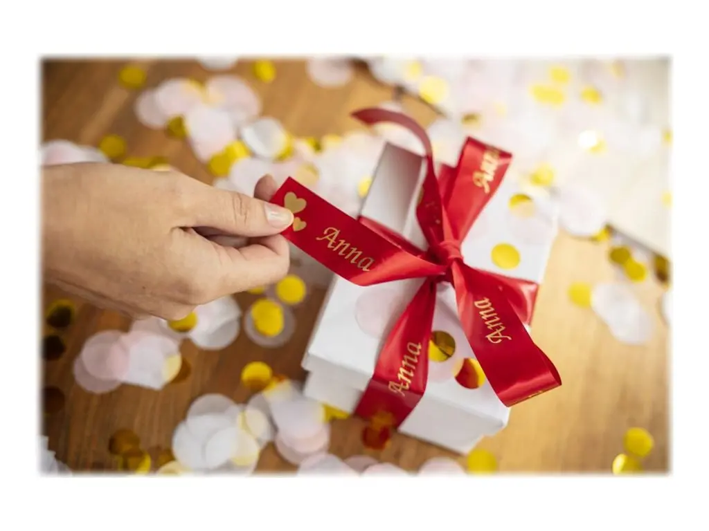 BROTHER P-Touch 24mm wind red/gold ribbon tape