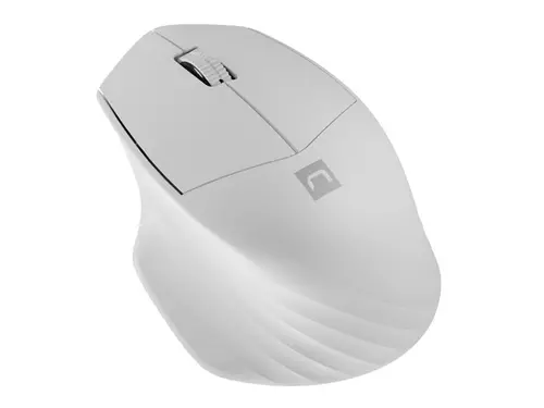 Мишка, Natec Mouse Siskin Wireless 1600DPI 2.4GHz + Bluetooth 5.0 Optical White - image 1