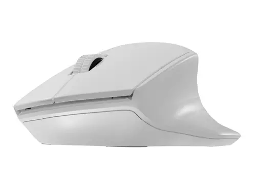 Мишка, Natec Mouse Siskin Wireless 1600DPI 2.4GHz + Bluetooth 5.0 Optical White - image 6