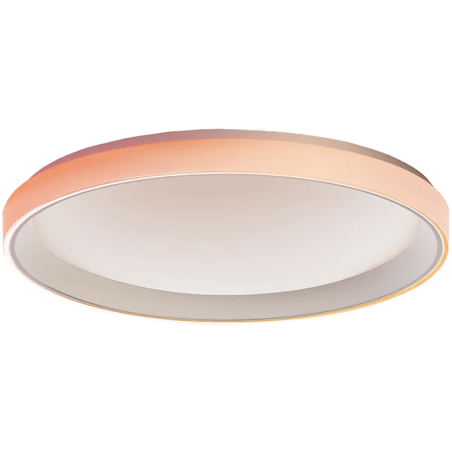 Aqara Ceiling Light T1M: Nr. model: CL-L02D