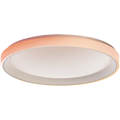 Aqara Ceiling Light T1M: Nr. model: CL-L02D - 1