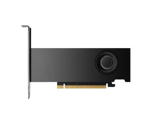 Placă video, PNY Nvidia RTX 2000 16GB GDDR6 ADA Gen. LP