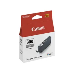 Консуматив, Canon PFI-300 GY