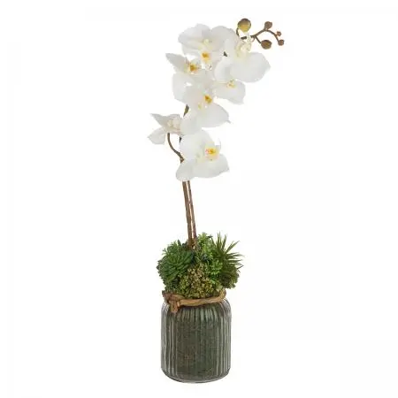 Аранжировка орхидея