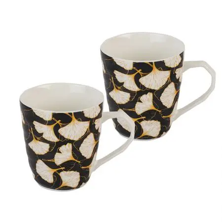 Set 2 căni ginkgo biloba