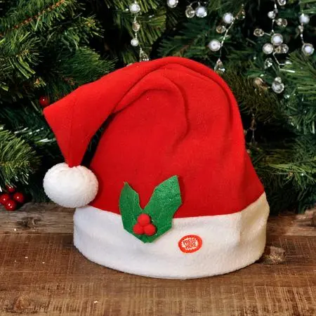 Музикална шапка - image 2