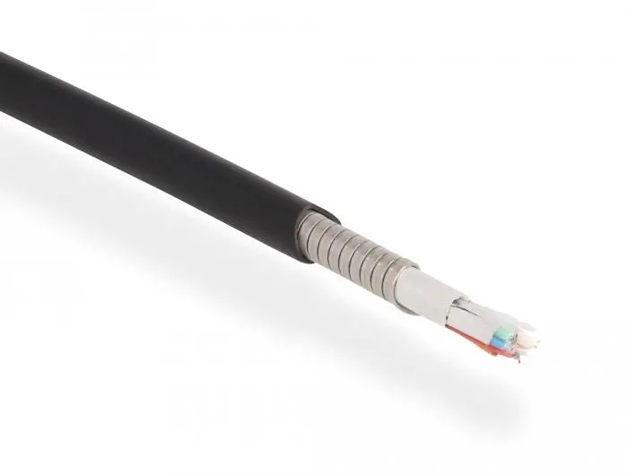 Оптичен кабел Delock, HDMI 8K, 60Hz, 48Gbps, 100 m - image 2