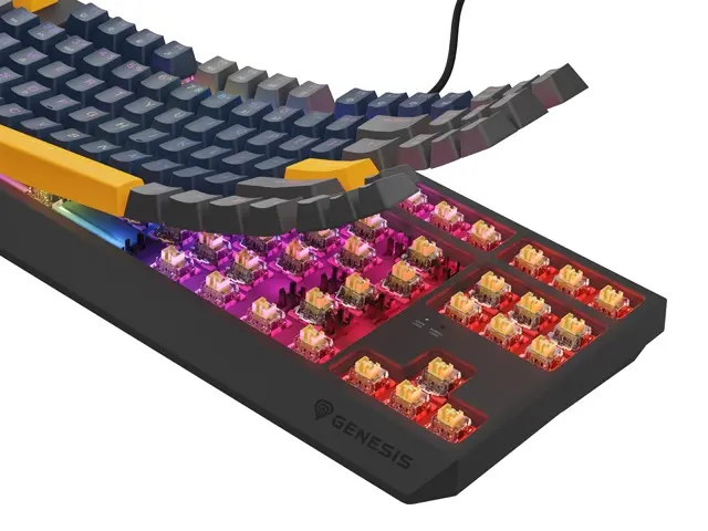 Клавиатура, Genesis Gaming Keyboard Thor 230 TKL Naval Blue Positive US Black RGB Mechanical Outemu Panda - image 5