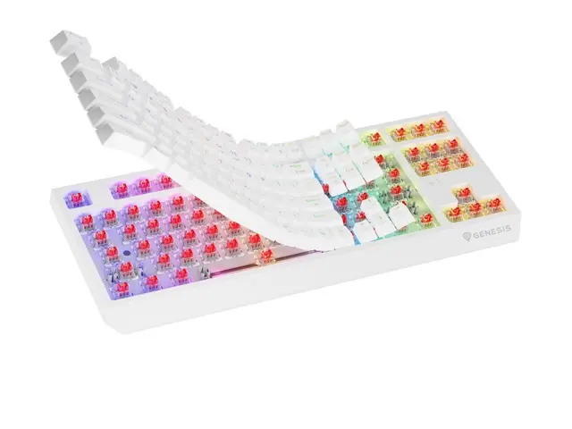 Клавиатура, Genesis Gaming Keyboard Thor 230 TKL Wireless US White RGB Mechanical Outemu Red - image 1