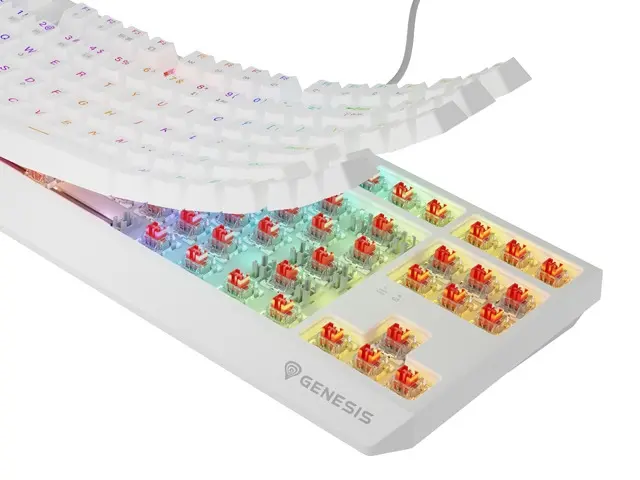Клавиатура, Genesis Gaming Keyboard Thor 230 TKL Wireless US White RGB Mechanical Outemu Red - image 2