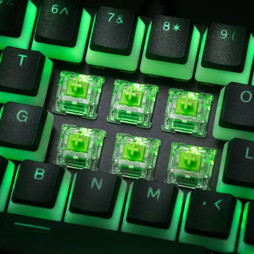 Суичове за механична клавиатура Glorious Raptor Switch - Clicky, 5-Pin, 36 броя - image 3