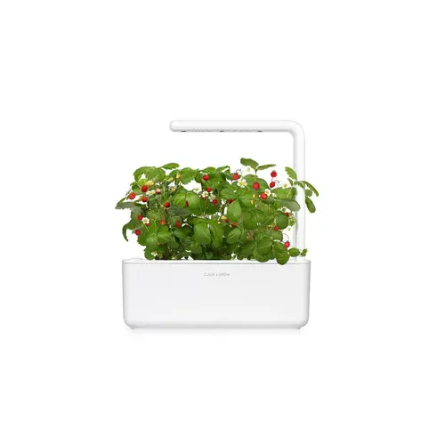 Семена Click and Grow Дива ягода, 3 броя - image 2