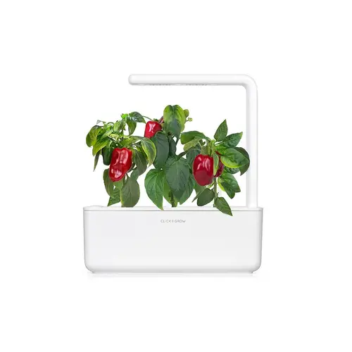 Семена Click and Grow Червен сладък пипер, 3 броя - image 3