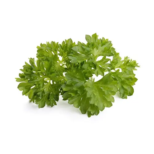 Семена Click and Grow Къдрав магданоз, 3 броя - image 1