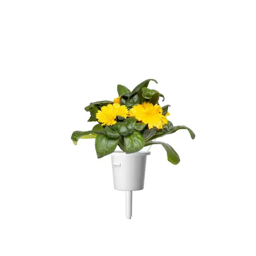 Семена Click and Grow Невен, 3 броя - image 2