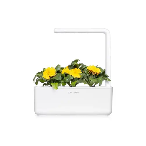 Семена Click and Grow Невен, 3 броя - image 3