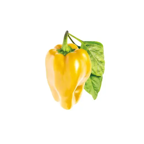 Семена Click and Grow Жълта сладка чушка, 3 броя - image 1