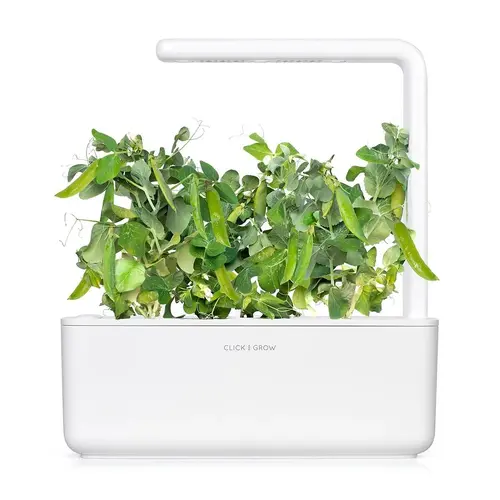 Семена Click and Grow Грах джудже, 3 броя - image 4