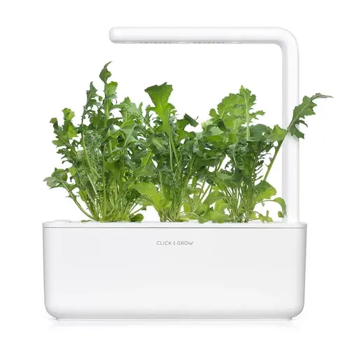 Семена Click and Grow Рукола, 3 броя - image 3