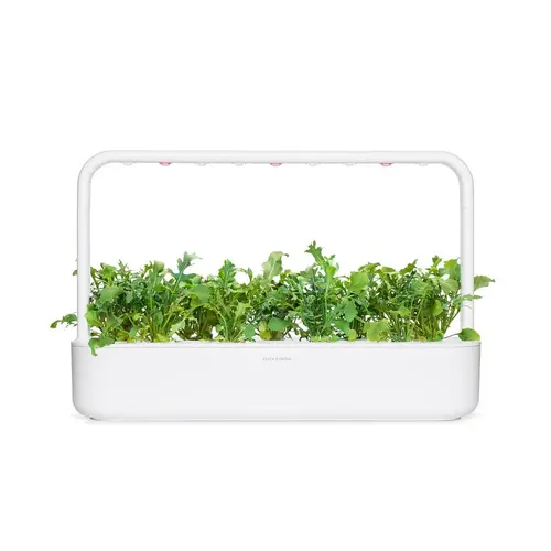 Семена Click and Grow Рукола, 3 броя - image 4