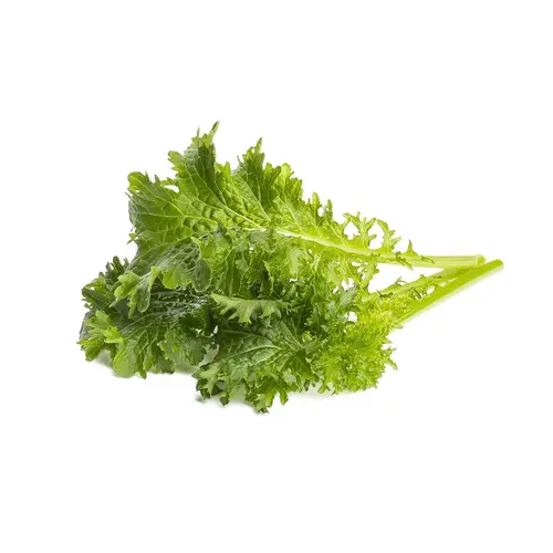 Семена Click and Grow Горчица Уасаби, 3 броя - image 1