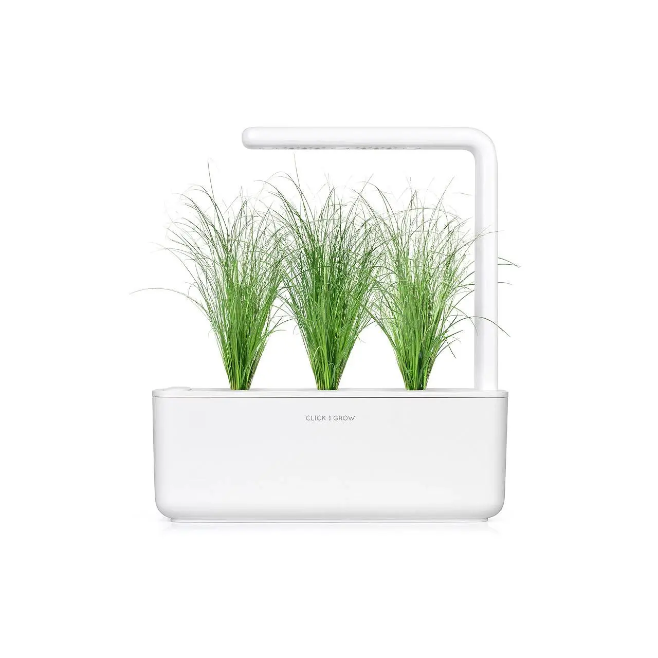 Семена Click and Grow Декоративна трева, 3 броя - image 3