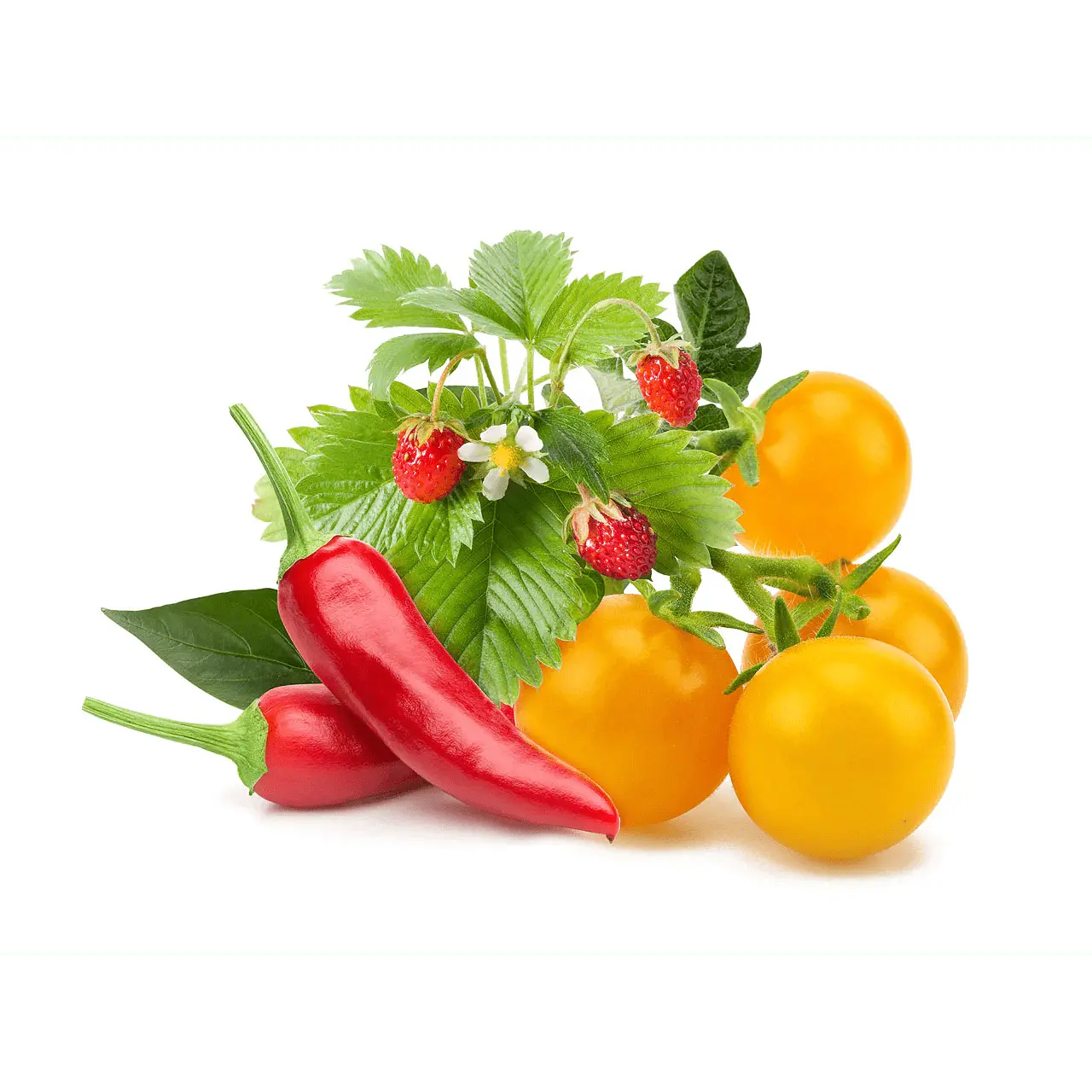 Семена Click and Grow Плодове и зеленчуци микс, 9 броя