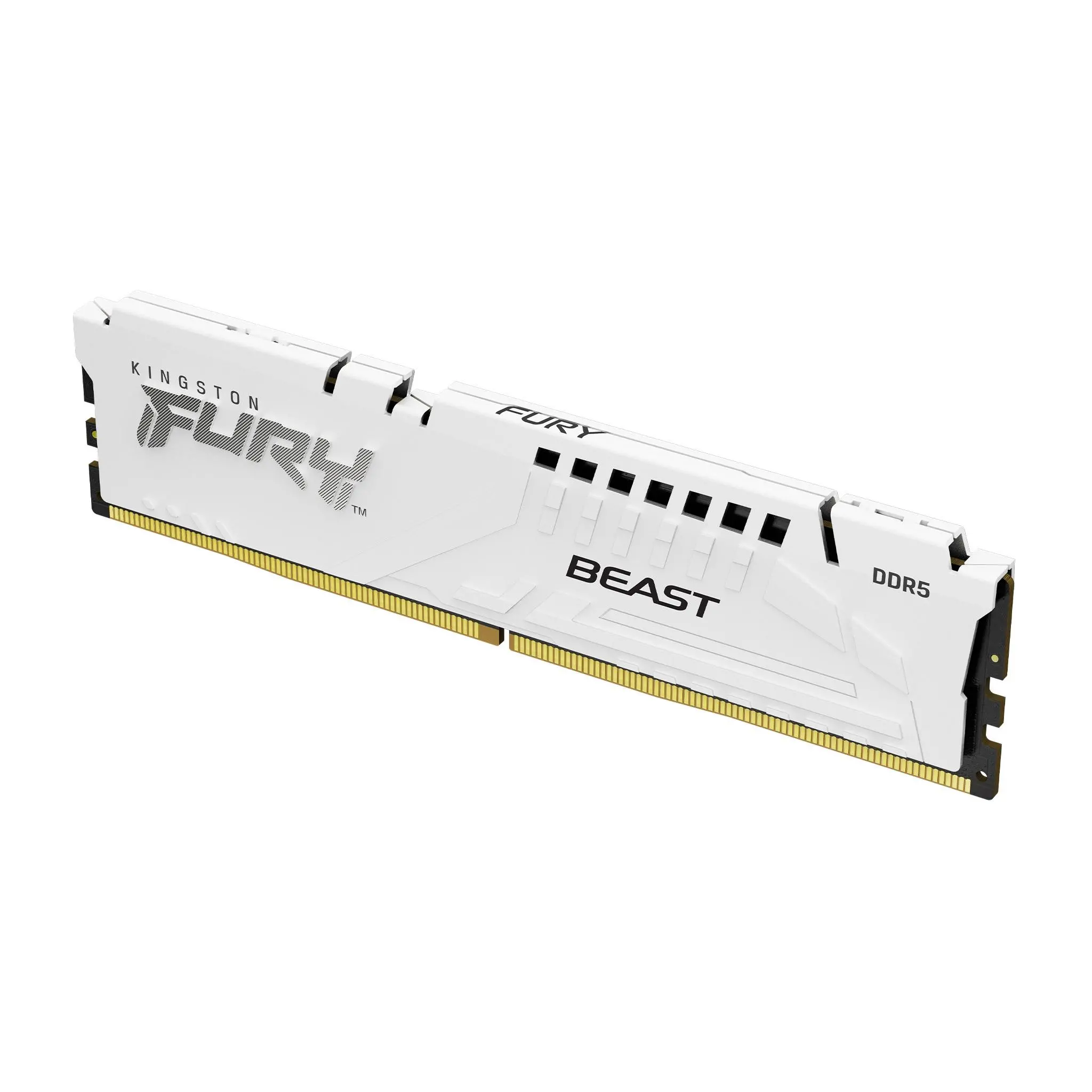 Памет Kingston FURY Beast White 16GB DDR5 6000MHz CL36 KF560C36BWE2-16 - image 1